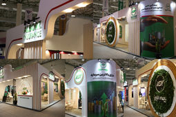 گسترش تعاملات حرفه ای بیمه البرز در نمایشگاه بین المللی نفت، گاز و پتروشیمی
