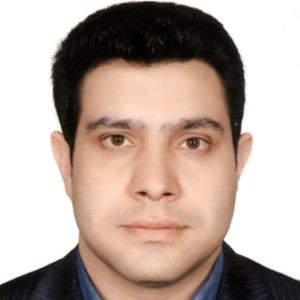 حسین فرزان اصل