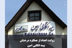 روایت اعداد از عملکرد درخشان “اتکام” در فاصله دو مدیریت
