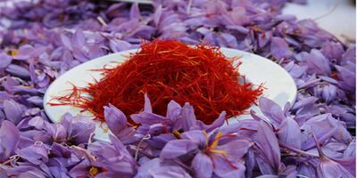 کاهش شدید صادرات زعفران