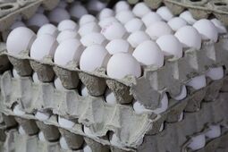 دومین تغییر قیمت تخم‌مرغ در ۸ روز / قیمت‌های جدید اعلام شد