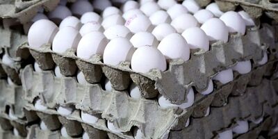 صادرات تخم مرغ به ۷۸ هزار تن رسید
