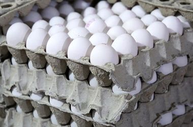 قیمت هر شانه تخم مرغ برای مصرف کننده ۳۰۰ هزارتومان
