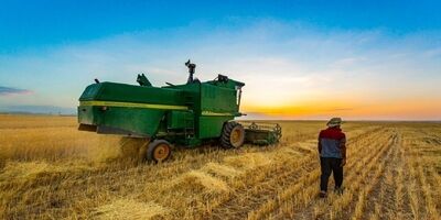  ۴.۷ میلیون تن گندم خرید تضمینی شد 