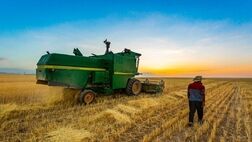 خرید تضمینی گندم ۱.۶ میلیون تن افزایش یافت