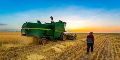  ۱۶۷ همت از مطالبات گندمکاران پرداخت شد