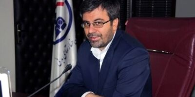 دولت‌ها هیچ منابعی به جز تامین سرمایه اولیه بیمه‌های دولتی در بیمه سرمایه‌گذاری نداشته‌اند