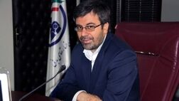 دولت‌ها هیچ منابعی به جز تامین سرمایه اولیه بیمه‌های دولتی در بیمه سرمایه‌گذاری نداشته‌اند