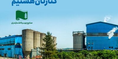 قرارداد بیمه ای چوب و کاغذ مازندران با تجارت نو برای سال ششم تمدید شد