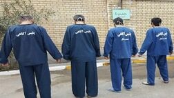حمله ۴ مرد نقابدار به خانه اعیانی مادر و دخترانش در زعفرانیه تهران