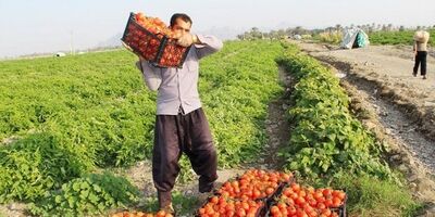 کارفرمایان بدهکار می‌توانند از بخشودگی جرایم بیمه‌ای استفاده کنند