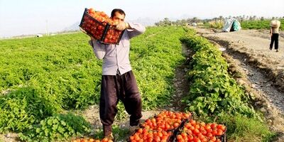 کارفرمایان بدهکار می‌توانند از بخشودگی جرایم بیمه‌ای استفاده کنند