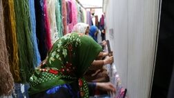 قطع بیمه قالیبافان هیچ توجیهی ندارد