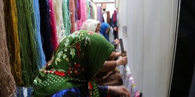 قطع بیمه قالیبافان هیچ توجیهی ندارد