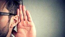 کرم گوش چیست و چگونه از شر آن خلاص شویم؟ 
