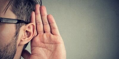 کرم گوش چیست و چگونه از شر آن خلاص شویم؟ 

