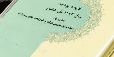 کلیات لایحه بودجه ۱۴۰۴ تصویب شد