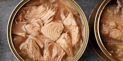 تولید سالانه ۸.۳ میلیون تن ماهیان تون در کشور