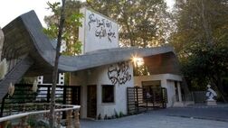 دانشجویان شاغل به تحصیل تحت پوشش بیمه حوادث قرار می‌گیرند