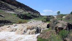 تأکید بر تداوم رعایت حقابه ایران در رودخانه مرزی ساری سو