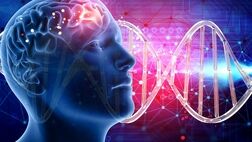کلسترول  آلزایمر را تشدید  می کند