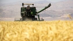 واریز ۱۶ هزار میلیارد تومان دیگر از مطالبات گندمکاران