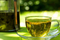 فواید پنهان دمنوش برگ مو؛ چرا باید این نوشیدنی را بشناسید؟