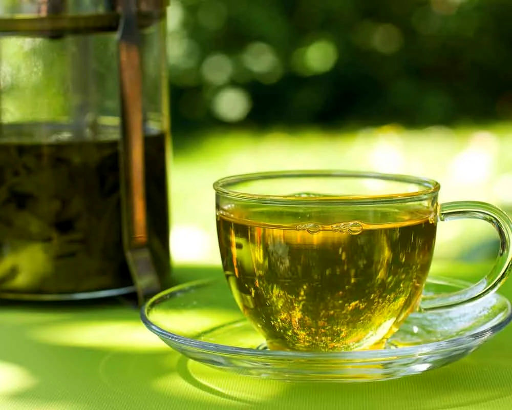 فواید پنهان دمنوش برگ مو؛ چرا باید این نوشیدنی را بشناسید؟