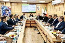 بازدید عضو هیأت‌مدیره بانک از شعب استان زنجان
