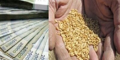 دولت ۲۰ هزار میلیارد تومان به کشاورزان بابت خرید گندم بدهکار است