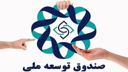 سرنوشت یک میلیارد یورو برداشتی از صندوق توسعه برای مقابله با کرونا چه شد؟