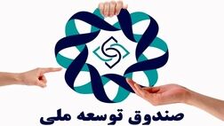 سرنوشت یک میلیارد یورو برداشتی از صندوق توسعه برای مقابله با کرونا چه شد؟