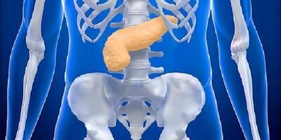 لوزالمعده مصنوعی می تواند به افراد دیابتی کمک کند