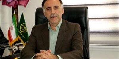 بیمه از اهرم‌های مهم حمایتی در پایداری کشاورزی است