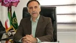 بیمه از اهرم‌های مهم حمایتی در پایداری کشاورزی است