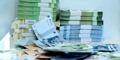 چه کسانی وام ۵۰۰ میلیونی جدید دولت را می گیرند؟ + شرایط دریافت