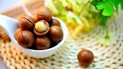 ترشی فندق؛ چاشنی خوشمزه غنی از پروتئین و فیبر
