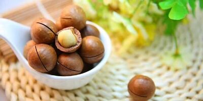 ترشی فندق؛ چاشنی خوشمزه غنی از پروتئین و فیبر
