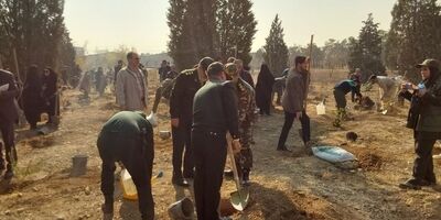 آغاز طرح کاشت مردمی یک میلیارد درخت
