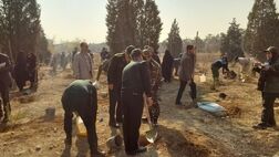 آغاز طرح کاشت مردمی یک میلیارد درخت