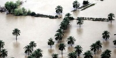 آخرین وضعیت پرداخت غرامت سیل به بخش کشاورزی خوزستان