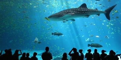 مصرف آب روزانه تهران معادل آکواریومی به مساحت پارک ملت