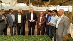 میزان خسارت پرداختی به محصولات کشاورزی تا پایان سال  به یک هزار و ۴۰۰ میلیارد تومان می‌رسد