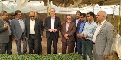 میزان خسارت پرداختی به محصولات کشاورزی تا پایان سال  به یک هزار و ۴۰۰ میلیارد تومان می‌رسد