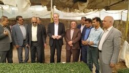 میزان خسارت پرداختی به محصولات کشاورزی تا پایان سال  به یک هزار و ۴۰۰ میلیارد تومان می‌رسد