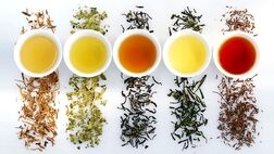 خواص دارویی چای را بهتر بشناسیم
