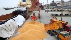 نهاده های فروخته شده گران نمی شود 