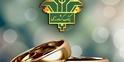 پرداخت 87 هزار میلیارد ریال تسهیلات قرض الحسنه ازدواج و فرزندآوری توسط بانک کشاورزی
