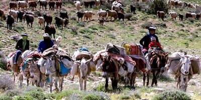«بیمه رایگان» مادران خانه‌دار روستایی دارای ۳ فرزند و بیشتر
