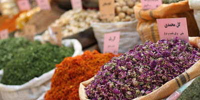 نارضایتی اعضای اتحادیه عطاران و سقط فروشان استان تهران از عملکرد بیمه دولتی
